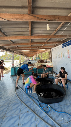 Voyage responsable en Thaïlande : groupe participant à une action CSR sur une plage de Koh Talu