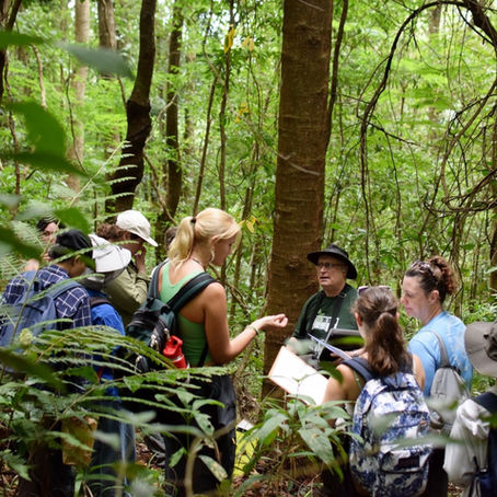 JS Travel Partners with FORRU-CMU to Support Forest Restoration in Thailand