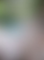 Koh Yao Yai, Koh Yao Noi, Phuket : inspection terrain pour créer des circuits sur mesure en Thaïlande