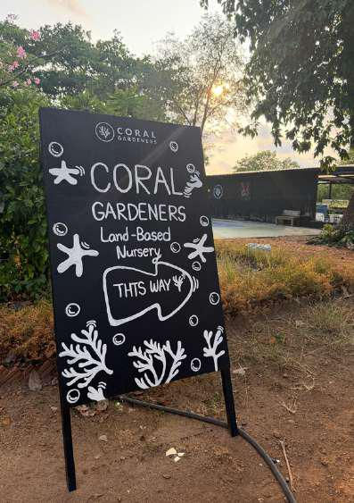 Koh Mak : nos experts basés en Thaïlande vous présentent une adresse calme, confortable et engagée