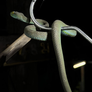 Voyage sur mesure en Thaïlande et zoom sur Kaeng Krachan et son parc national