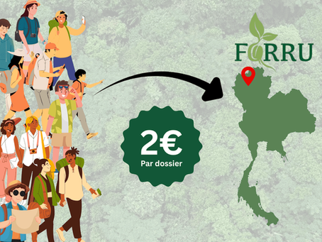 Asiajet et FORRU-CMU : restaurer les forêts de Thaïlande