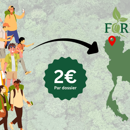 Asiajet et FORRU-CMU : restaurer les forêts de Thaïlande