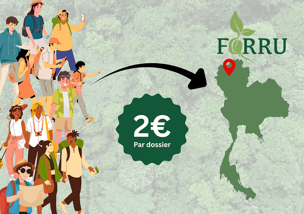 Asiajet et FORRU-CMU : restaurer les forêts de Thaïlande