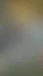 Voyage responsable en Thaïlande : groupe participant à une action CSR sur une plage de Koh Talu