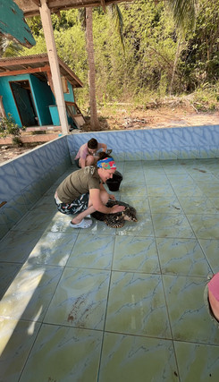 Voyage responsable en Thaïlande : groupe participant à une action CSR sur une plage de Koh Talu