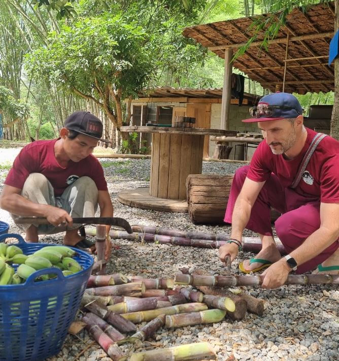 Préparation de la nourriture pour les éléphants à Chi Jungle Man