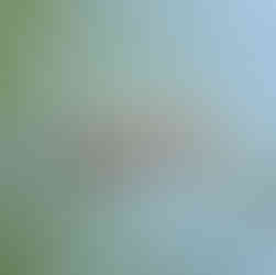 Voyage sur mesure en Thaïlande et zoom sur Kaeng Krachan et son parc national