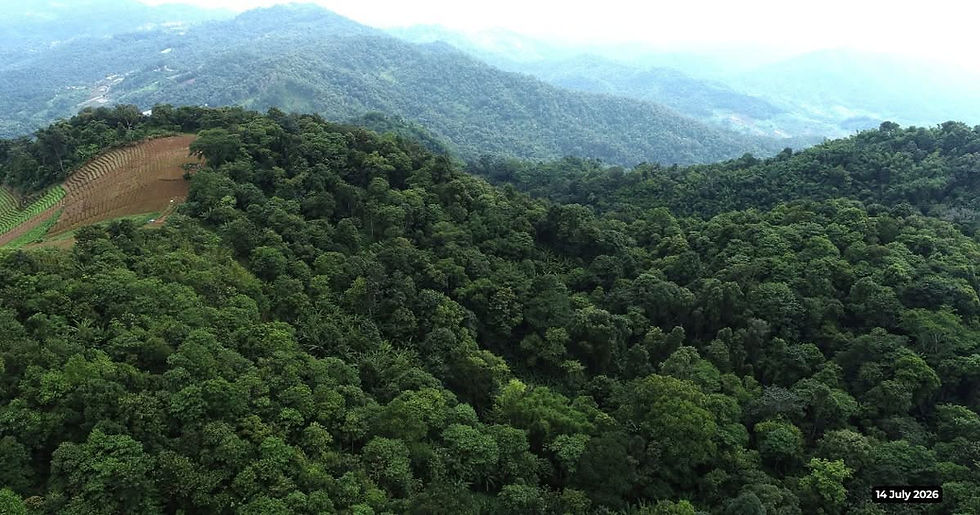 Asiajet et FORRU-CMU : restaurer les forêts de Thaïlande