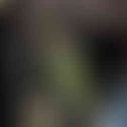 Voyage sur mesure en Thaïlande et zoom sur Kaeng Krachan et son parc national