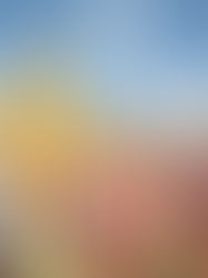 Nouvelles conditions d’entrée au Laos avec le système digital d’immigration