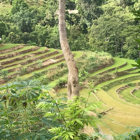 Voyage reponsable au vietnam