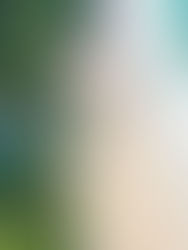 Koh Tao, Koh Lanta, Koh Talu… Nos derniers repérages terrain sur les îles de Thaïlande