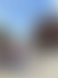 Voyage au Vietnam : repérage dans le sud entre le Mékong et Ho Chi Minh Ville