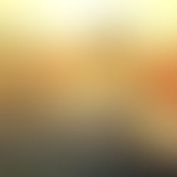 Old City Square – Where the Past and Present Meet