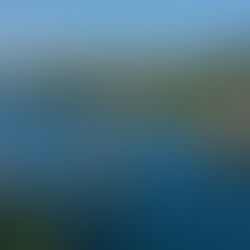 Tofterøy bru - 50 år