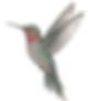 bb8bb086a68ef4a6803f0cb454f372d6.jpg