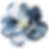 AdobeStock_277320851_21_edited.png