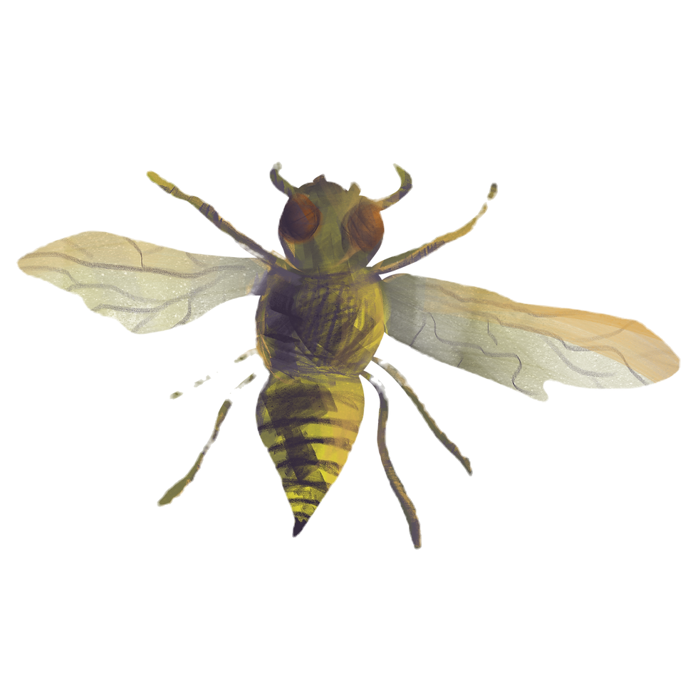 Realistic Yellow Insect