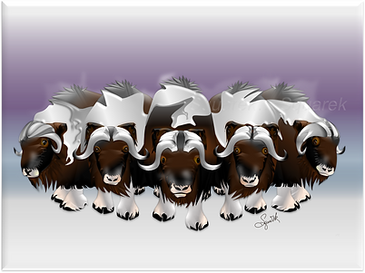 Muskox Alu.png