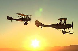 Aviation management consultant exposition writing SMS