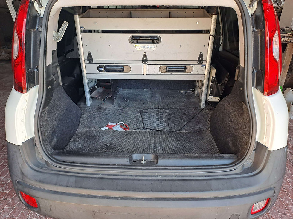 Miniatura: FIAT Panda 1.3 mtj 80cvVan 2P4x4 con ELD 