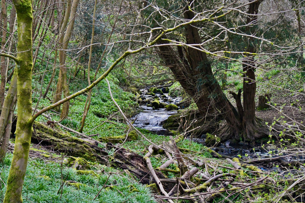 March in Castlemilk Park, 2021