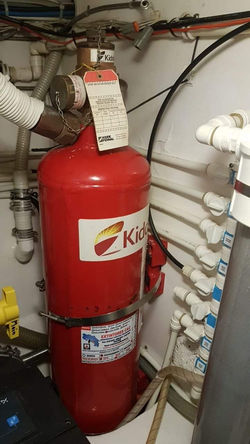 WhatsApp Image 2022-08-23 at 10.04.10 AM