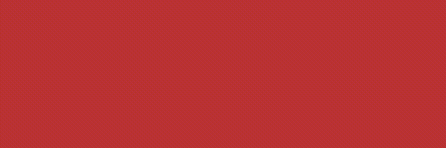 CARLIE - website.gif