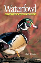 waterfowl.jpg