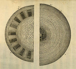 pdia-7efe9559-ce2d-4c33-b5d4-749707224e98.jpg
