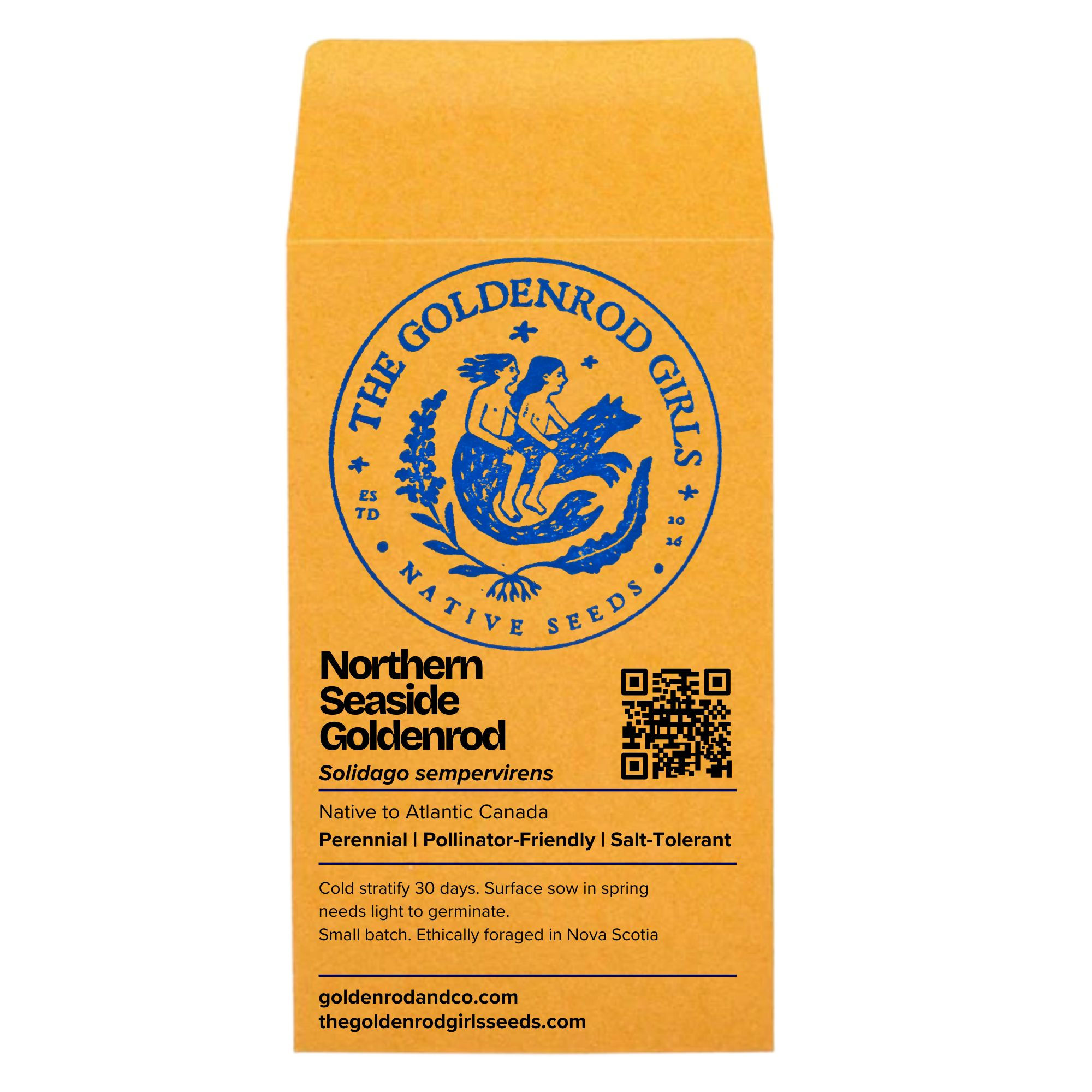Northern Seaside Goldenrod Seed Packet