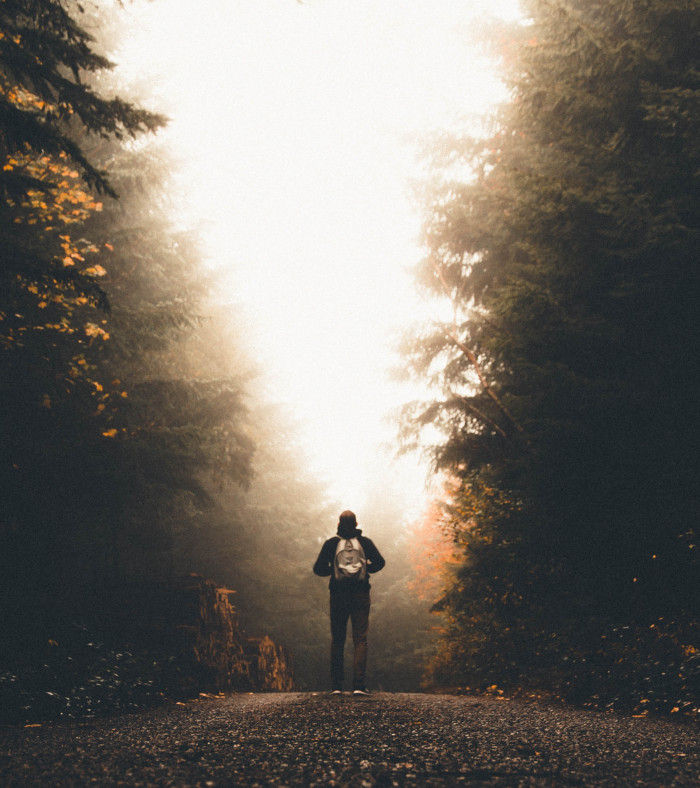 The Journey of the Soul