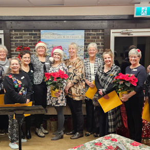 Volunteer Appreciation – A Heartfelt Celebration