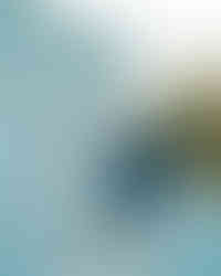 Prewedding Photography