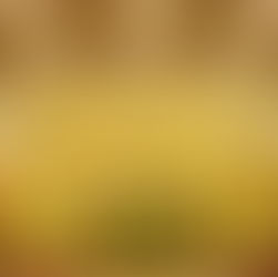 Vijayawada Wedding Photography Services