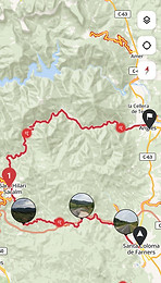 Ruta