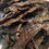Thumbnail: Dehydrated Beef Liver Dog Treats
