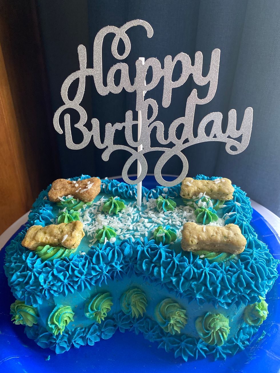 Thumbnail: 6 by 4 Dog Birthday Cake