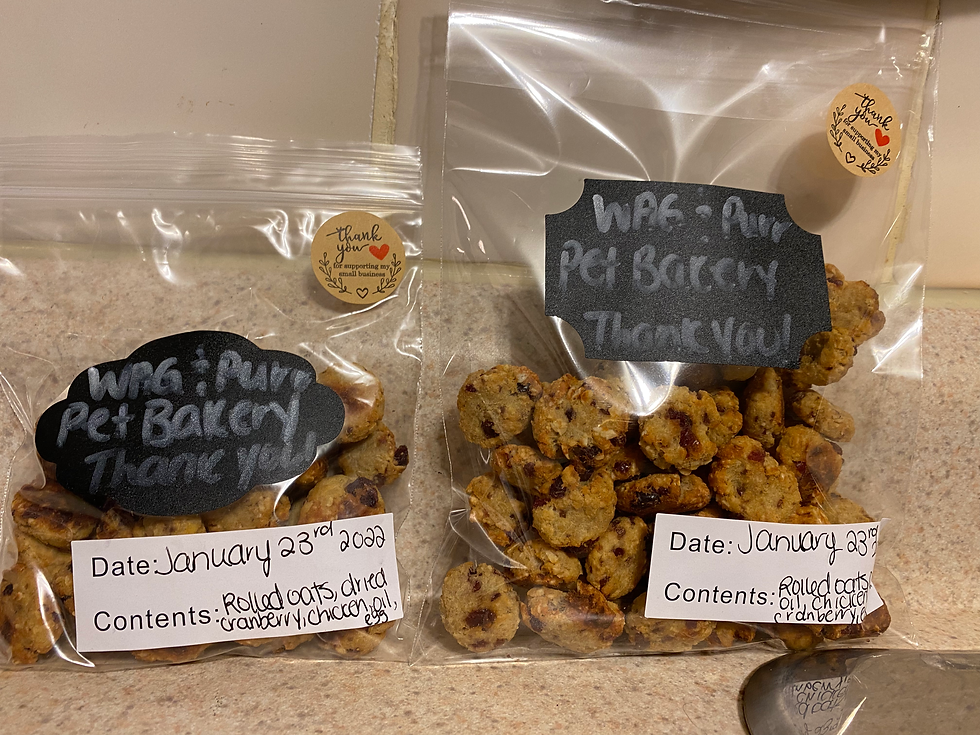 Thumbnail: Urinary Support Chicken & Cranberry Cat Treats