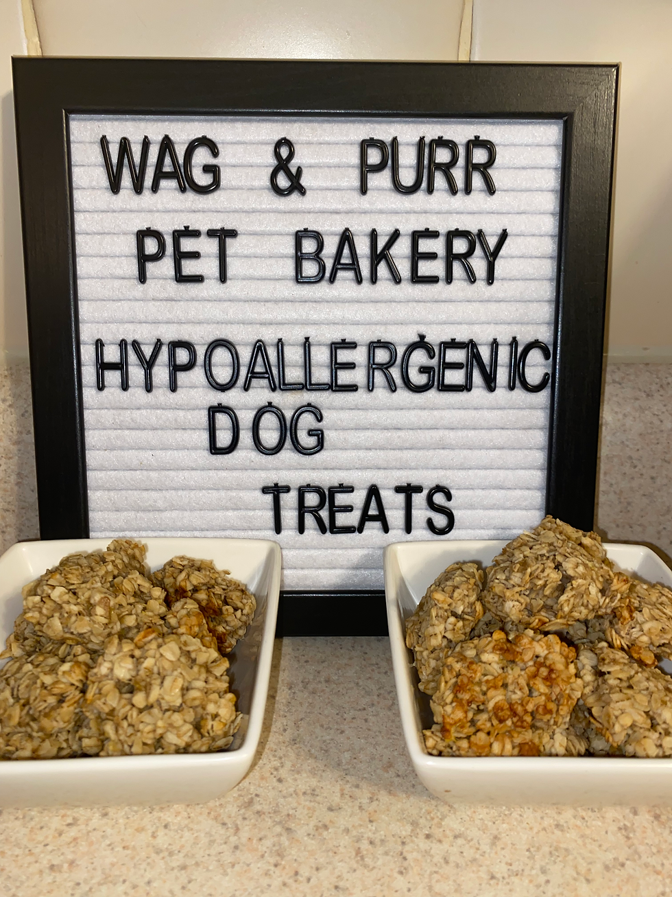 Hypoallergenic Dog Treats