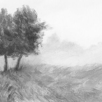 Fog and Trees (for Website)_edited.jpg