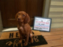 Chaffee 3 mos old.jpeg