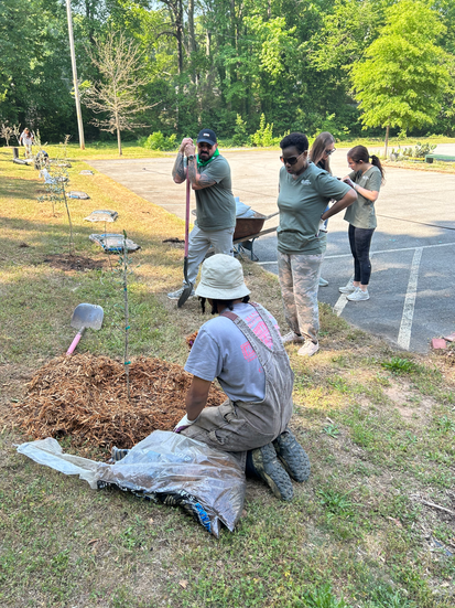 Charles Jackson Jr. demonstrating how to use mulch when planting trees