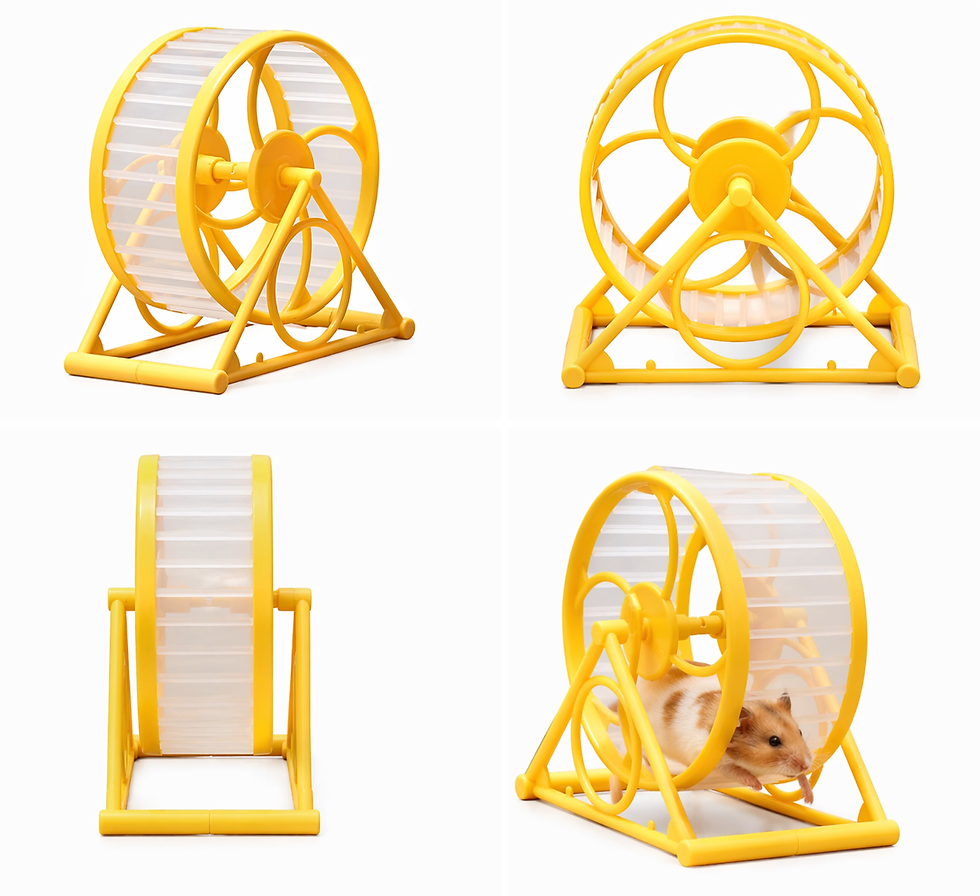 Miniatura: Roda de Exercícios para Hamster