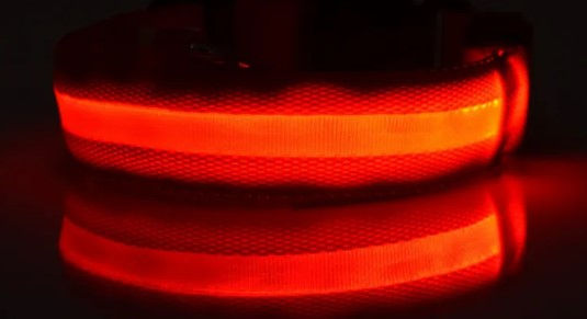 Coleira Luminosa LED de Nylon