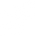 palm.png