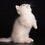 Thumbnail: 078 Harvest Munchkin shorthair male kitten