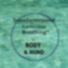 Transformational Conscious Breathing (C)