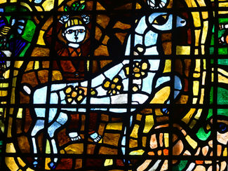 Inspiration from a Horse Called Joey